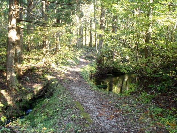 鳥海山 高瀬峡 遊佐町 のんびり山歩き